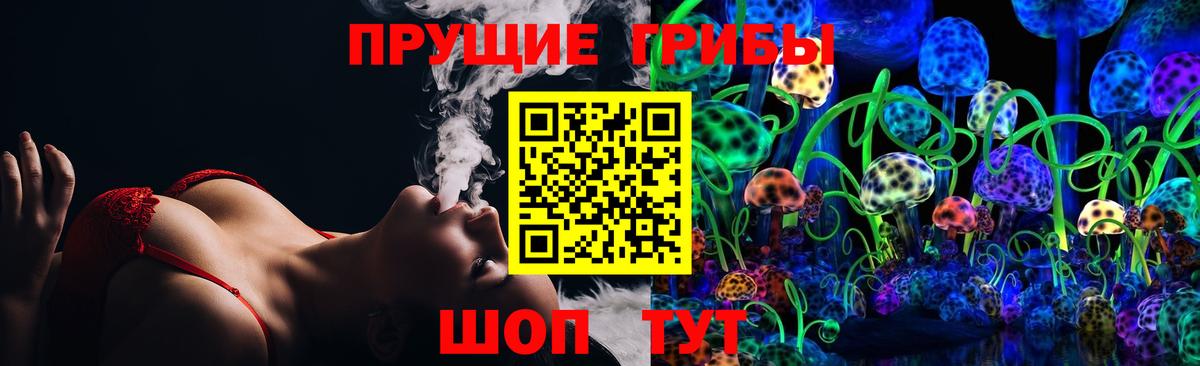 Галлюциногенные грибы MAGIC MUSHROOMS Горно-Алтайск